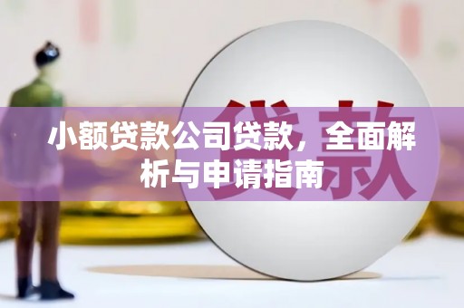 湛江小额贷款公司贷款，全面解析与申请指南