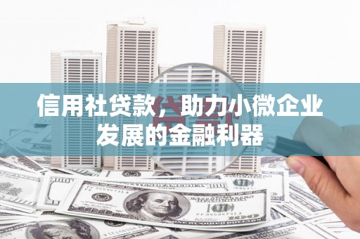 湛江信用社贷款，助力小微企业发展的金融利器
