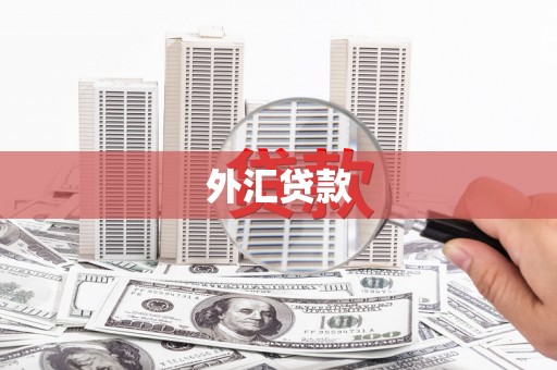 湛江外汇贷款