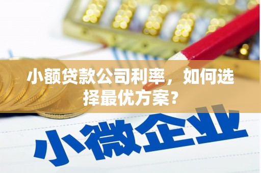 湛江小额贷款公司利率，如何选择最优方案？