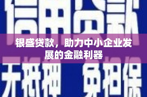 湛江银盛贷款，助力中小企业发展的金融利器