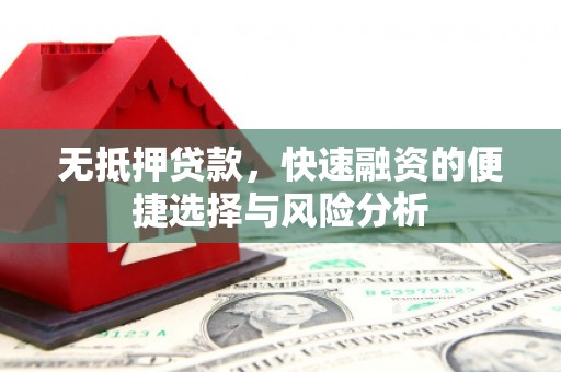 湛江无抵押贷款，快速融资的便捷选择与风险分析