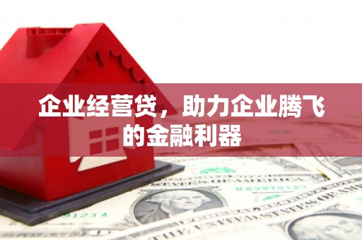 湛江企业经营贷，助力企业腾飞的金融利器