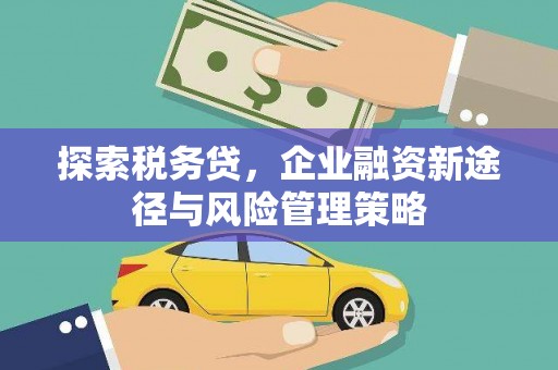 湛江探索税务贷，企业融资新途径与风险管理策略