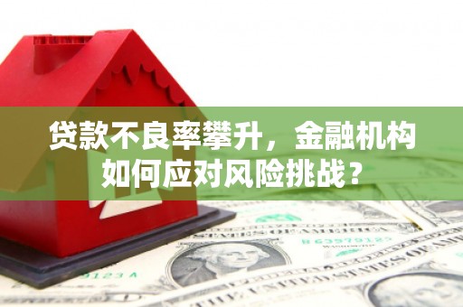 湛江贷款不良率攀升，金融机构如何应对风险挑战？