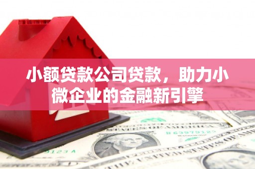 湛江小额贷款公司贷款，助力小微企业的金融新引擎