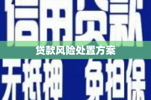 湛江贷款风险处置方案
