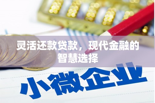 湛江灵活还款贷款，现代金融的智慧选择