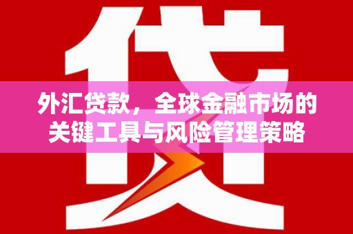 湛江外汇贷款，全球金融市场的关键工具与风险管理策略