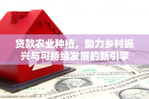 湛江贷款农业种植，助力乡村振兴与可持续发展的新引擎