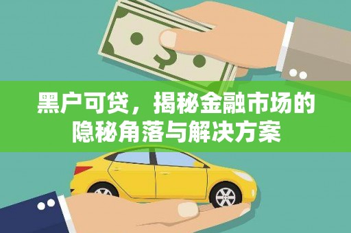 湛江黑户可贷，揭秘金融市场的隐秘角落与解决方案
