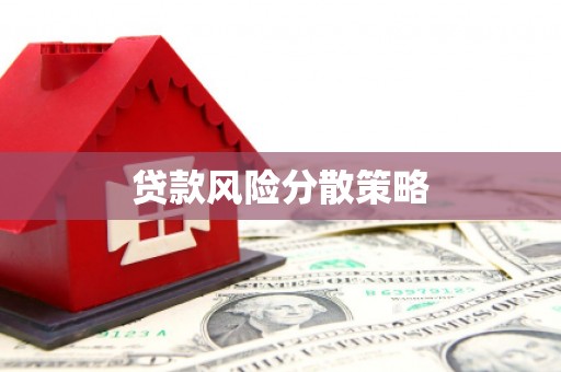 湛江贷款风险分散策略