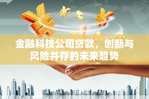 湛江金融科技公司贷款，创新与风险并存的未来趋势