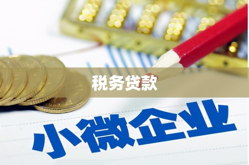 湛江税务贷款