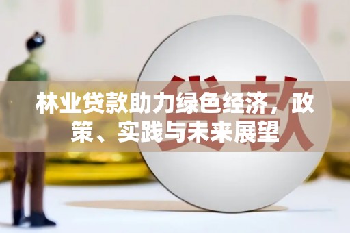 湛江林业贷款助力绿色经济，政策、实践与未来展望