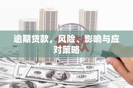 湛江逾期贷款，风险、影响与应对策略