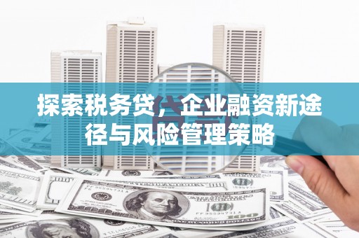 湛江探索税务贷，企业融资新途径与风险管理策略