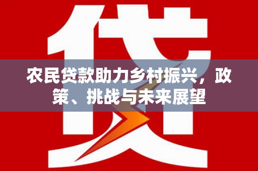 湛江农民贷款助力乡村振兴，政策、挑战与未来展望