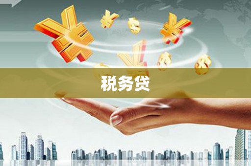 湛江税务贷