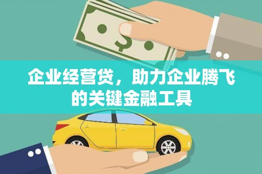 湛江企业经营贷，助力企业腾飞的关键金融工具