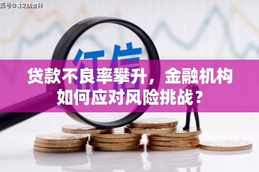 湛江贷款不良率攀升，金融机构如何应对风险挑战？
