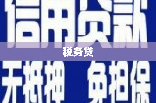 湛江税务贷