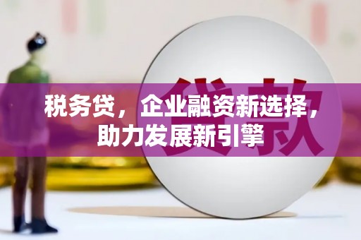 湛江税务贷，企业融资新选择，助力发展新引擎