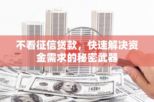 湛江不看征信贷款，快速解决资金需求的秘密武器
