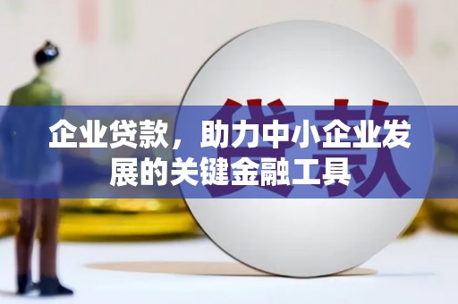 湛江企业贷款，助力中小企业发展的关键金融工具