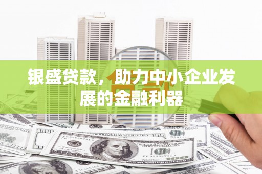 湛江银盛贷款，助力中小企业发展的金融利器