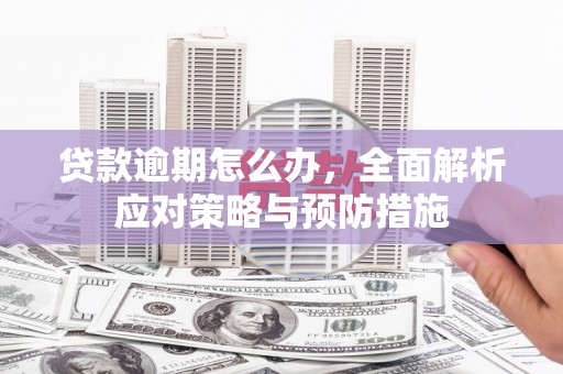 湛江贷款逾期怎么办，全面解析应对策略与预防措施