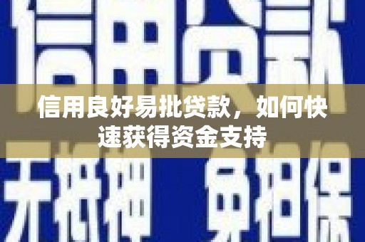 湛江信用良好易批贷款，如何快速获得资金支持
