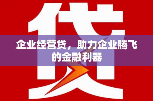 湛江企业经营贷，助力企业腾飞的金融利器