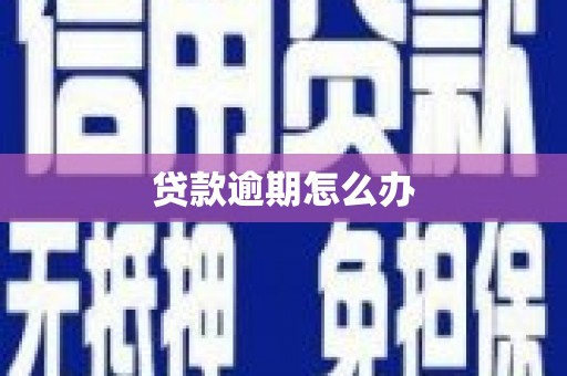 湛江贷款逾期怎么办