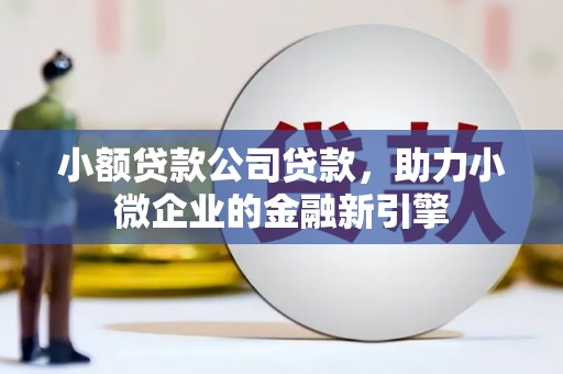 湛江小额贷款公司贷款，助力小微企业的金融新引擎