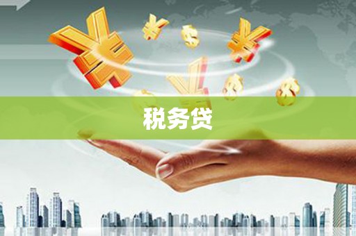 湛江税务贷