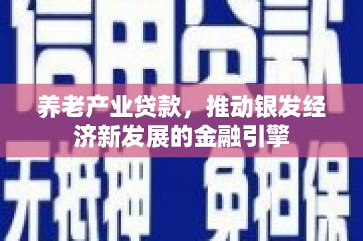 湛江养老产业贷款，推动银发经济新发展的金融引擎