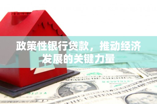 湛江政策性银行贷款，推动经济发展的关键力量