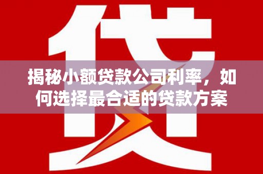 湛江揭秘小额贷款公司利率，如何选择最合适的贷款方案