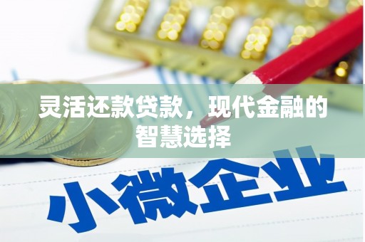 湛江灵活还款贷款，现代金融的智慧选择