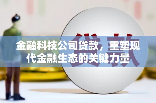 湛江金融科技公司贷款，重塑现代金融生态的关键力量