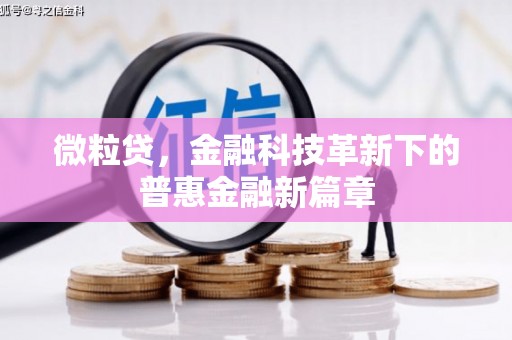 湛江微粒贷，金融科技革新下的普惠金融新篇章