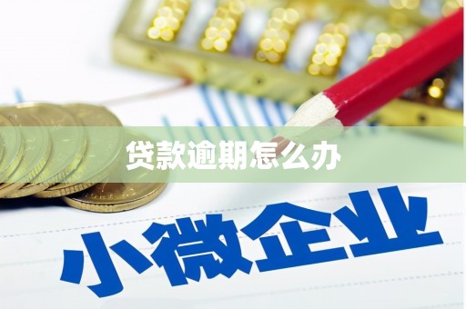 湛江贷款逾期怎么办