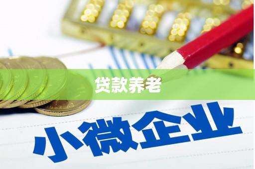 湛江贷款养老