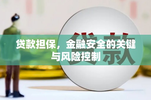 湛江贷款担保，金融安全的关键与风险控制