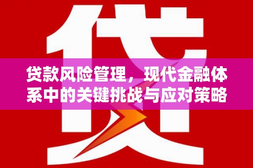 湛江贷款风险管理，现代金融体系中的关键挑战与应对策略