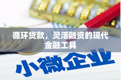 湛江循环贷款，灵活融资的现代金融工具