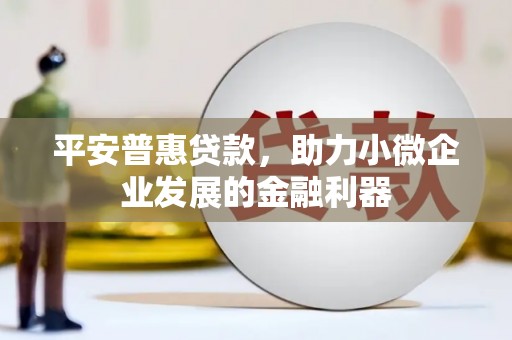 湛江平安普惠贷款，助力小微企业发展的金融利器