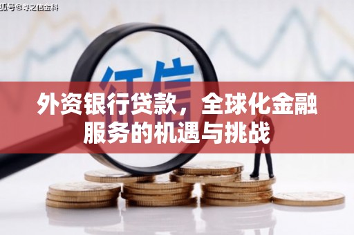 湛江外资银行贷款，全球化金融服务的机遇与挑战