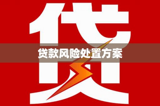 湛江贷款风险处置方案